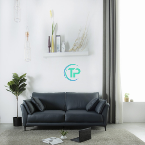Ghế Sofa Cao Cấp TPN851